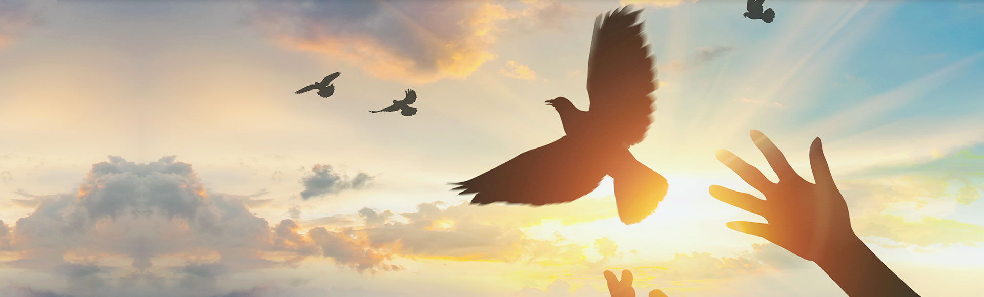 美狮贵宾会|首頁(欢迎您)